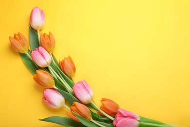 Beautiful tulips on yellow background, flat lay. Space for text