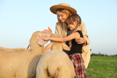 Photo of Mother and daughter stroking sheep on pasture. Farm animals