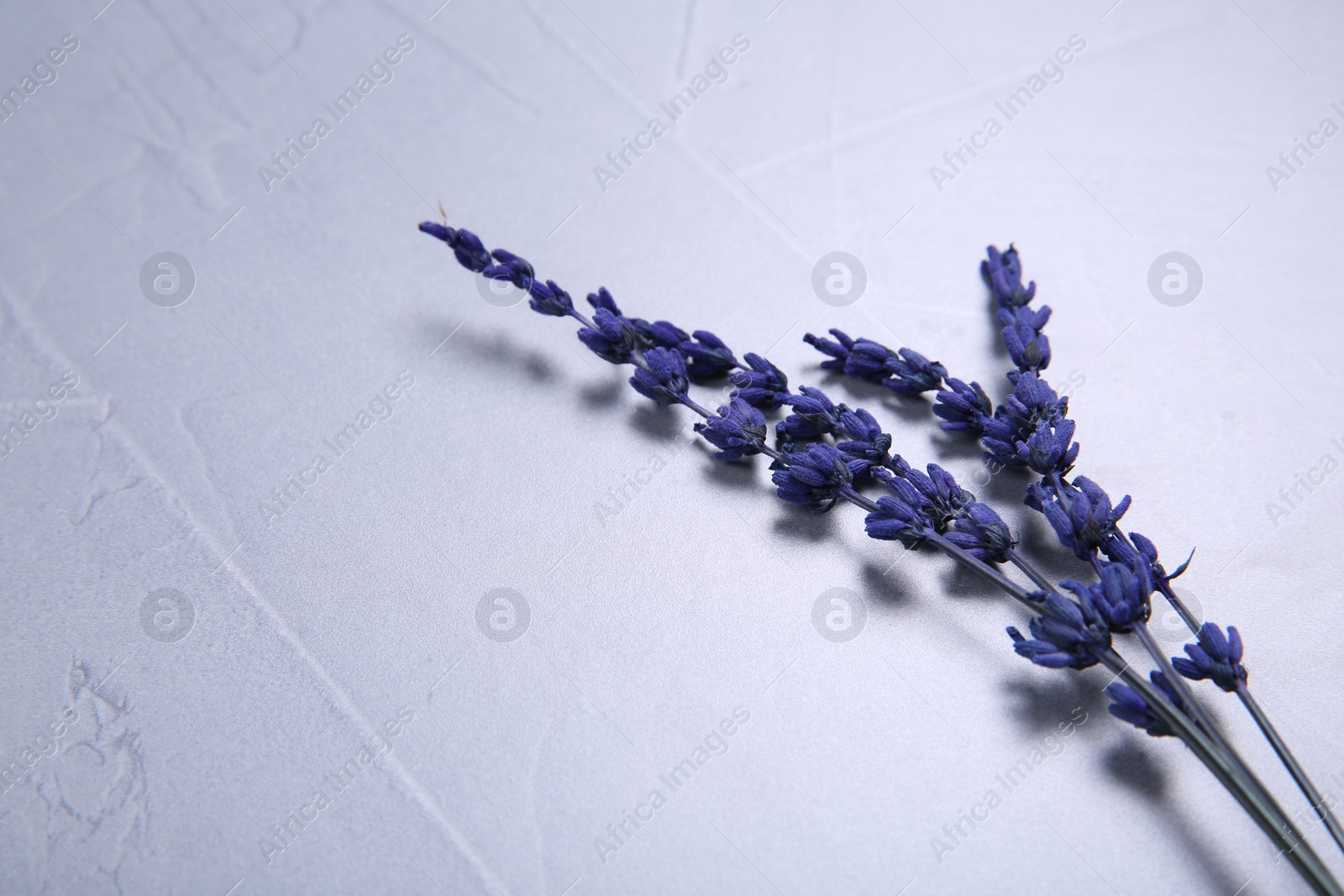 Photo of Beautiful preserved lavender flowers on light grey textured table, space for text