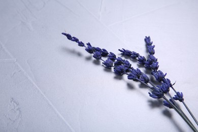 Beautiful preserved lavender flowers on light grey textured table, space for text