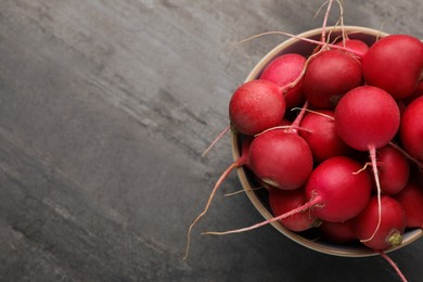 Photo of Bowl with fresh ripe radishes on grey table, top view. Space for text