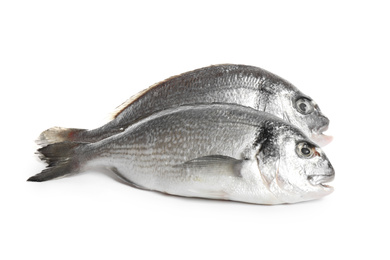 Fresh raw dorada fish isolated on white