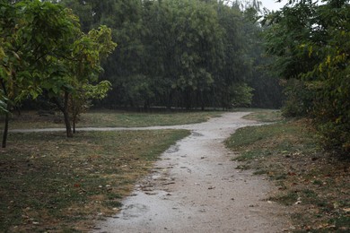 Photo of View of beautiful park during rain in autumn