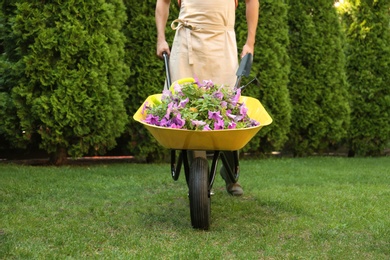 Photo of Man with wheelbarrow working in garden, closeup