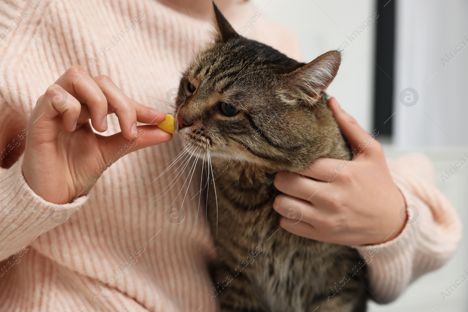 Photo of Woman giving heart shaped pill to cute cat indoors, closeup. Vitamins for animal