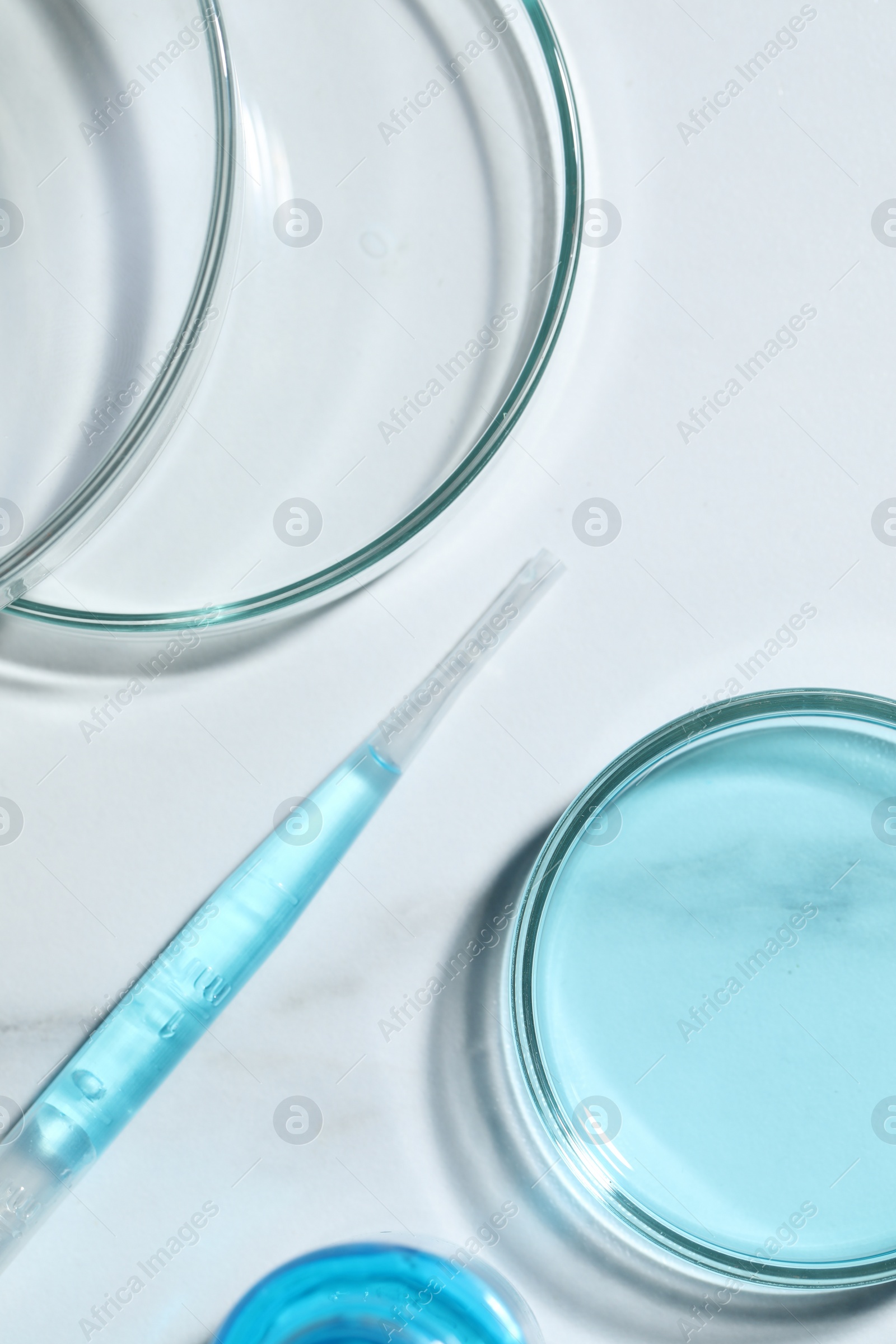 Photo of Pipette and petri dishes with liquid on white marble table, flat lay