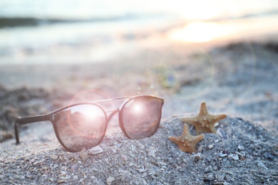 Stylish sunglasses and starfishes on sandy beach at sunset