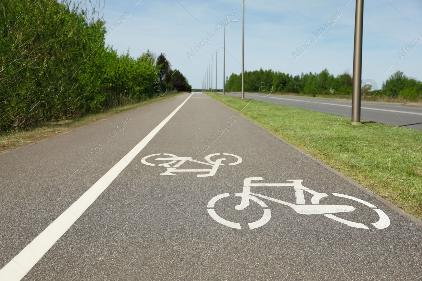 Photo of Bicycle lane with white sign painted on asphalt near sidewalk