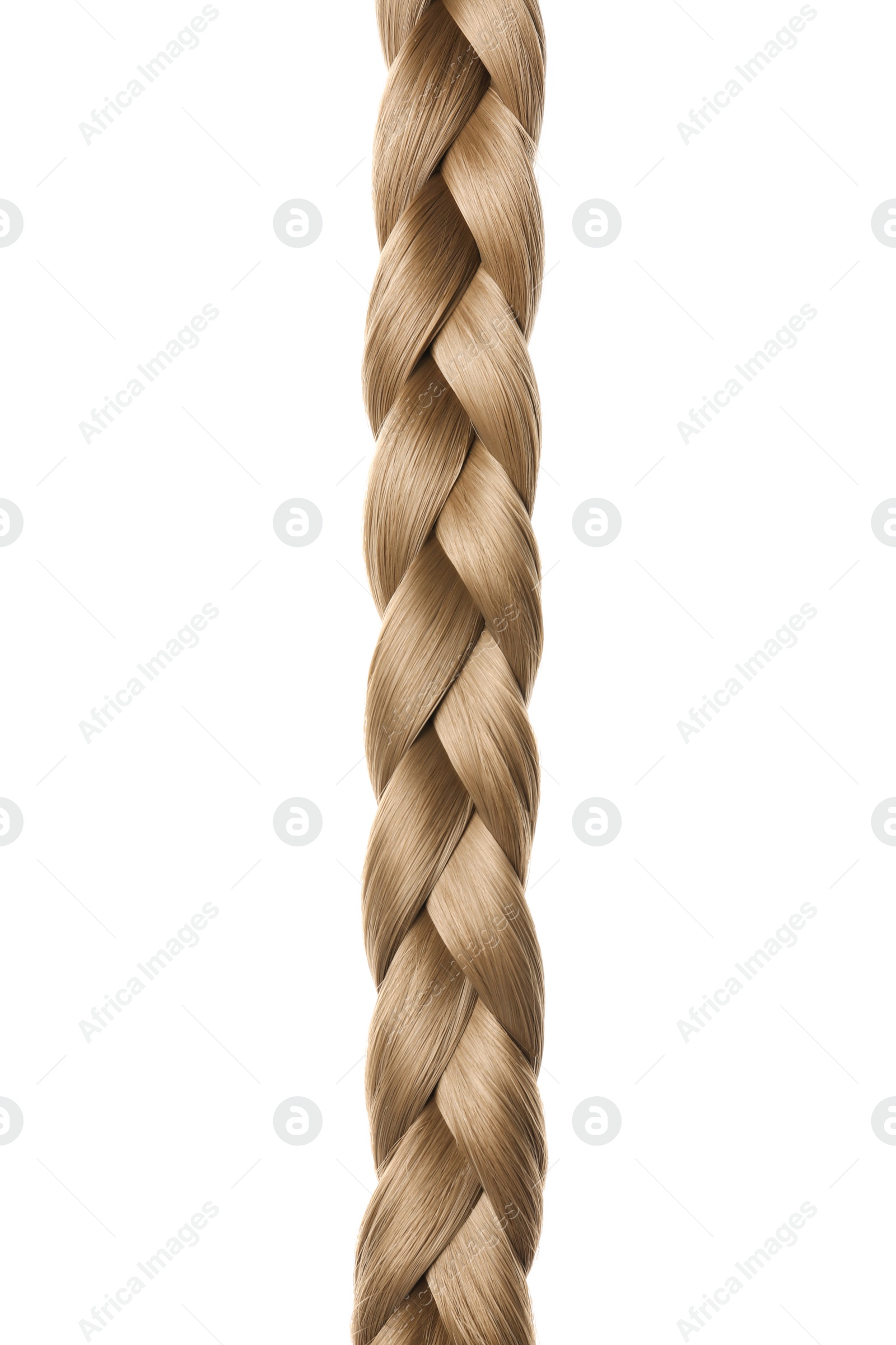 Photo of Beautiful long braid on white background. Healthy hair