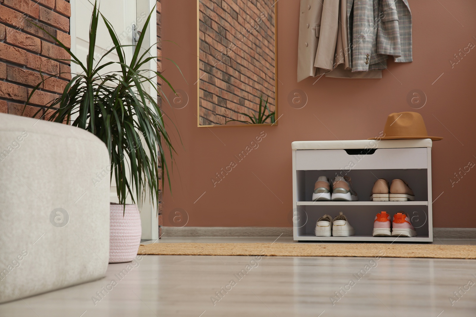 Photo of Rack with different shoes near pale pink wall in hall