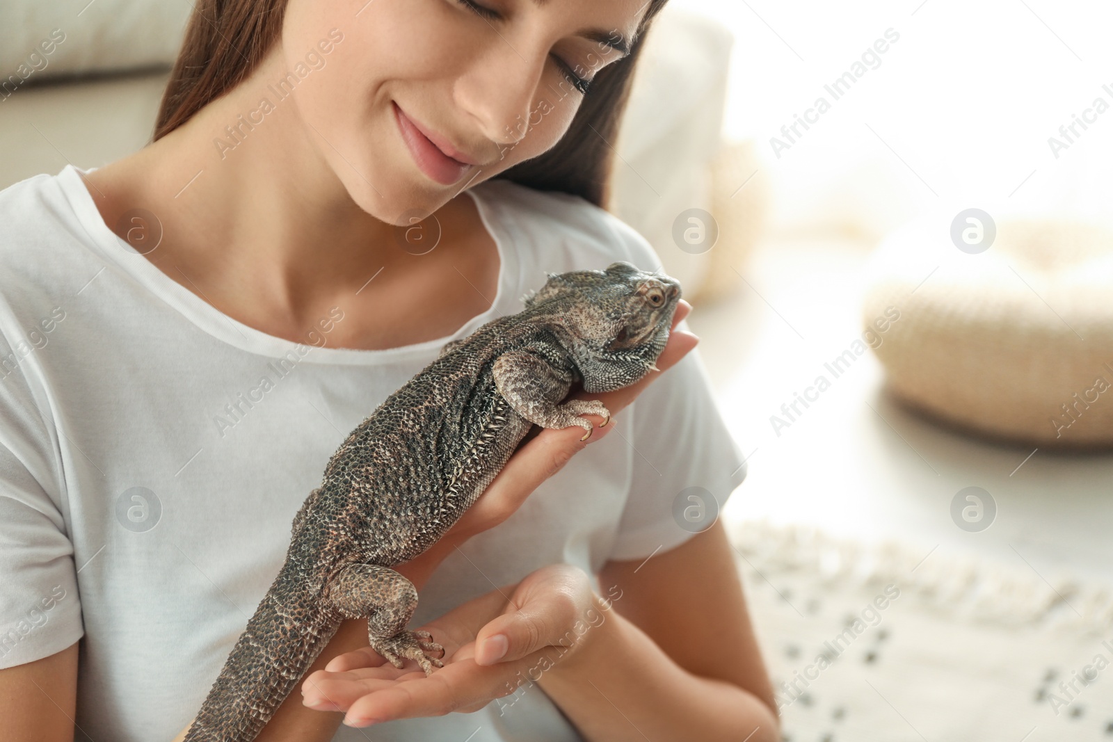 Photo of Woman holding bearded lizard indoors, closeup. Exotic pet