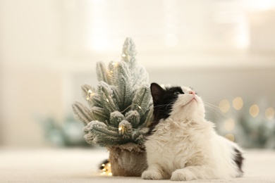 Adorable cat near decorative Christmas tree on blurred background