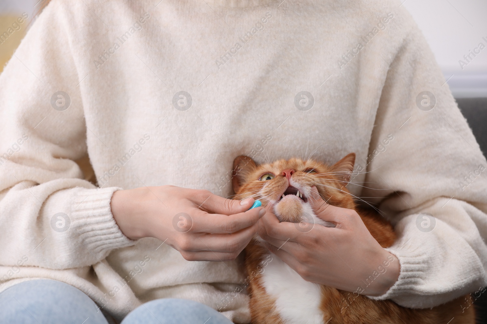 Photo of Woman giving vitamin pill to cute cat, closeup