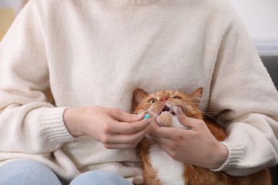 Woman giving vitamin pill to cute cat, closeup