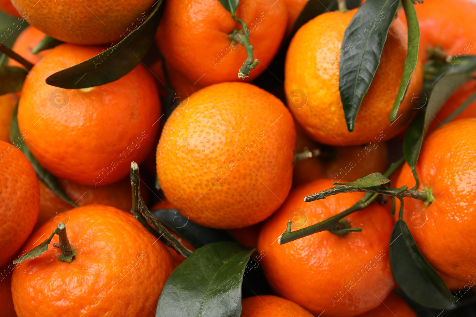 Photo of Fresh ripe tangerines and leaves as background, top view