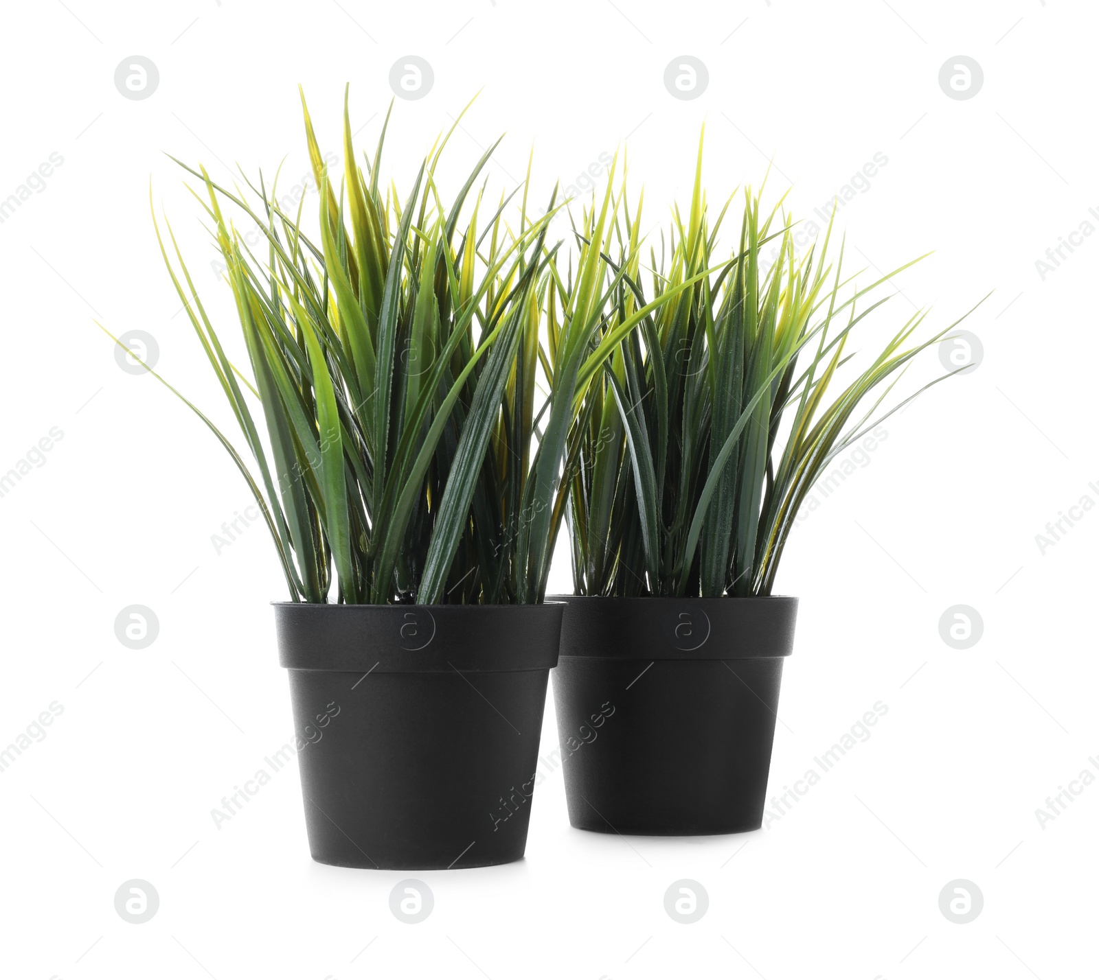 Photo of Beautiful artificial plants in flower pots isolated on white