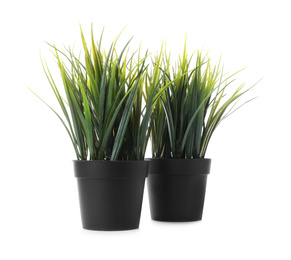 Beautiful artificial plants in flower pots isolated on white