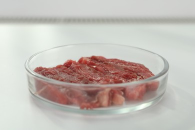Photo of Petri dish with pieces of raw cultured meat on white table, closeup
