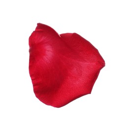 Red rose flower petal on white background