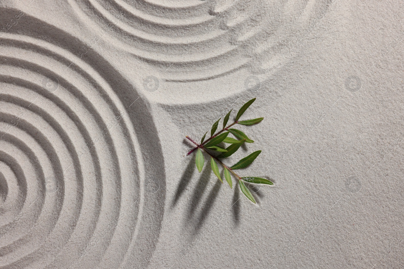 Photo of Beautiful spirals and branches on sand, top view with space for text. Zen garden