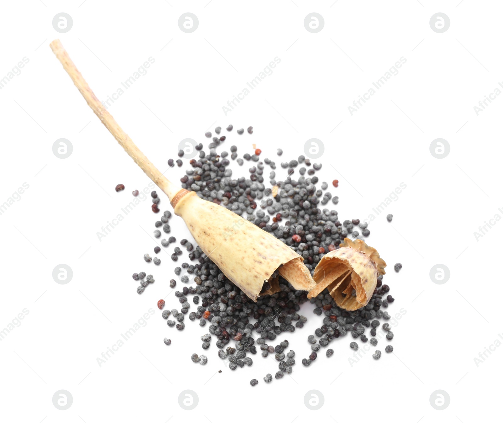 Photo of Dried poppyhead and seeds on white background