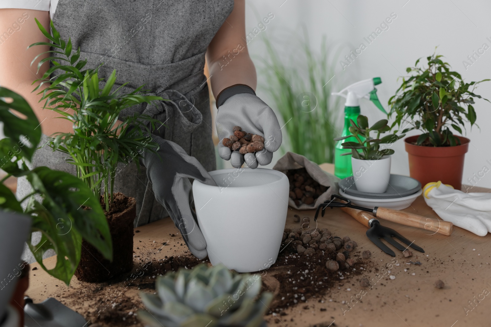 Photo of Woman filling flowerpot with drainage at table indoors, closeup. Houseplant care