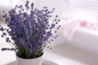 Photo of Beautiful lavender flowers in white pot indoors, closeup. Space for text