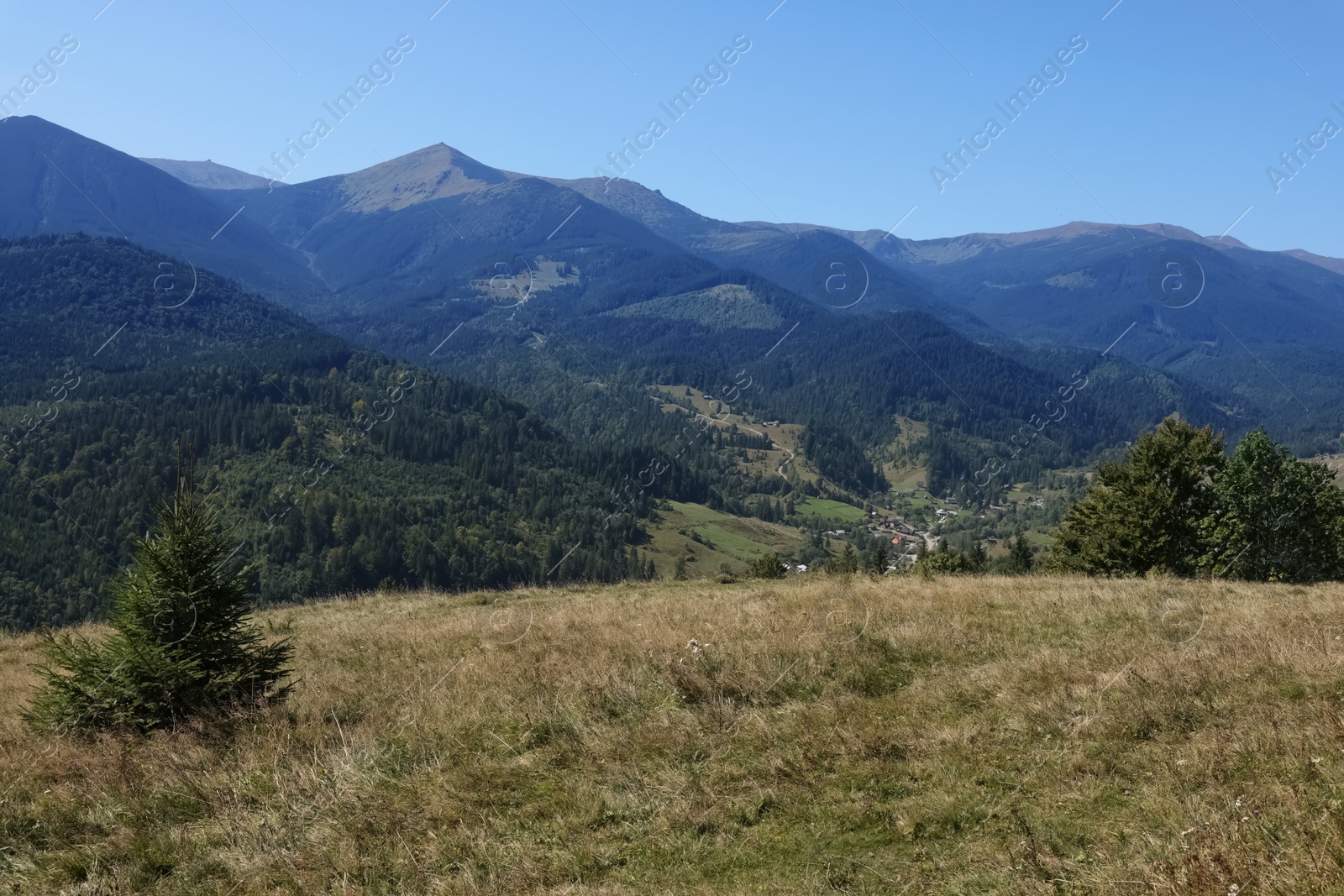 Photo of Beautiful view of landscape with mountain hills