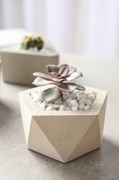 Photo of Beautiful succulent plant in stylish flowerpot on table. Home decor