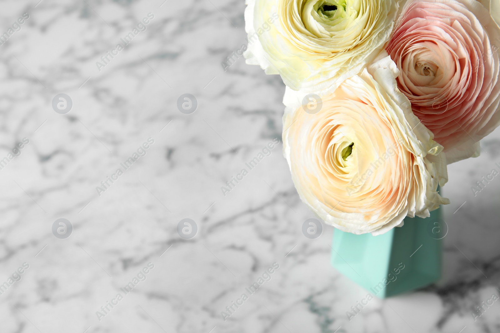 Photo of Vase with beautiful ranunculus flowers on table. Space for text