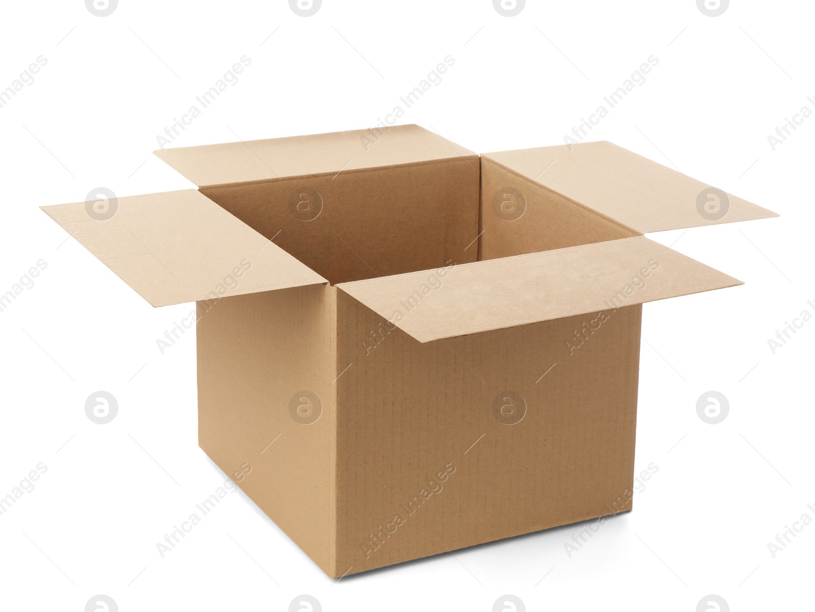 Photo of One open cardboard box on white background