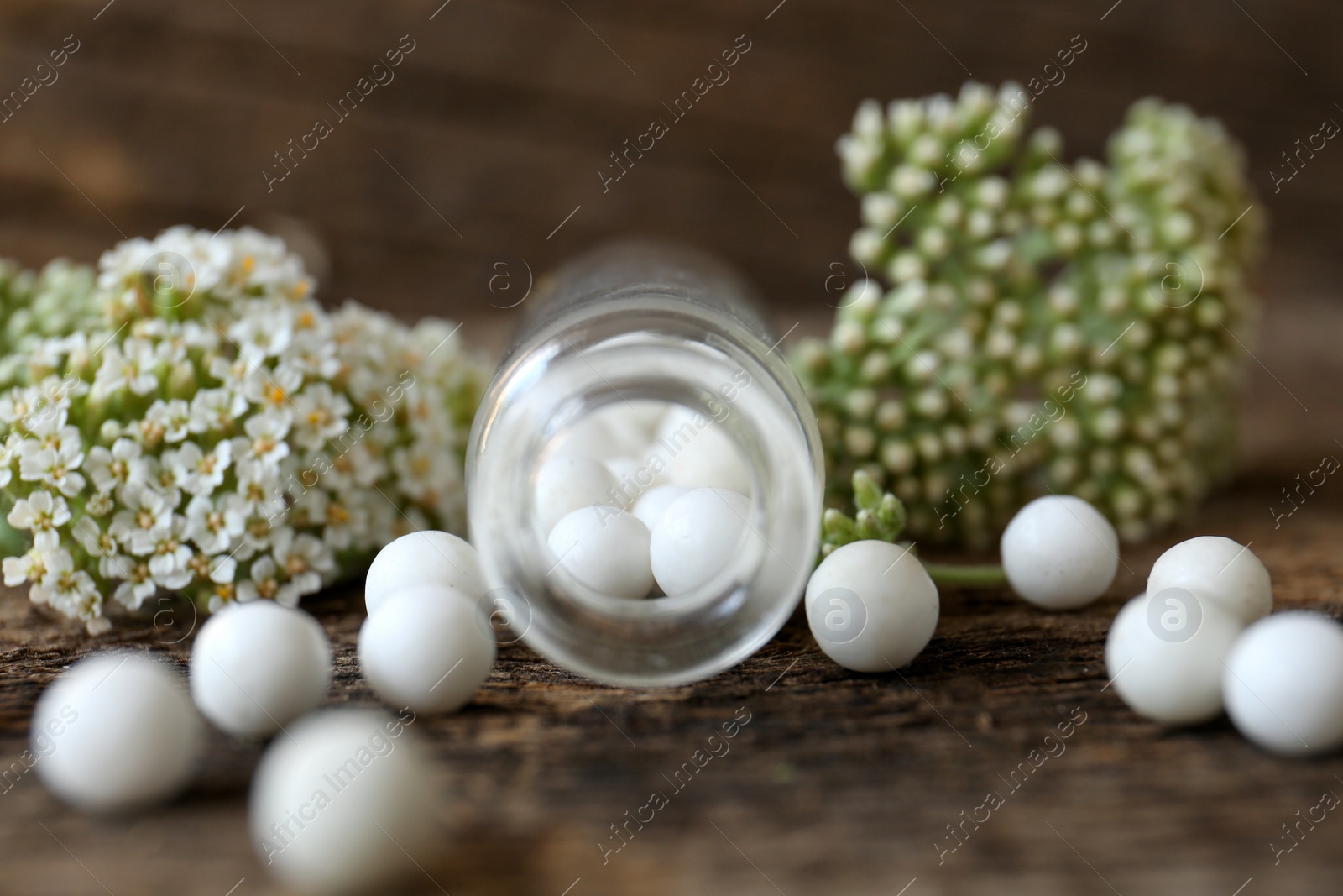 Photo of Bottle, homeopathic remedy and flowers on wooden table, closeup