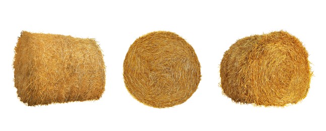 Image of Set with dried straw bales on white background. Banner design