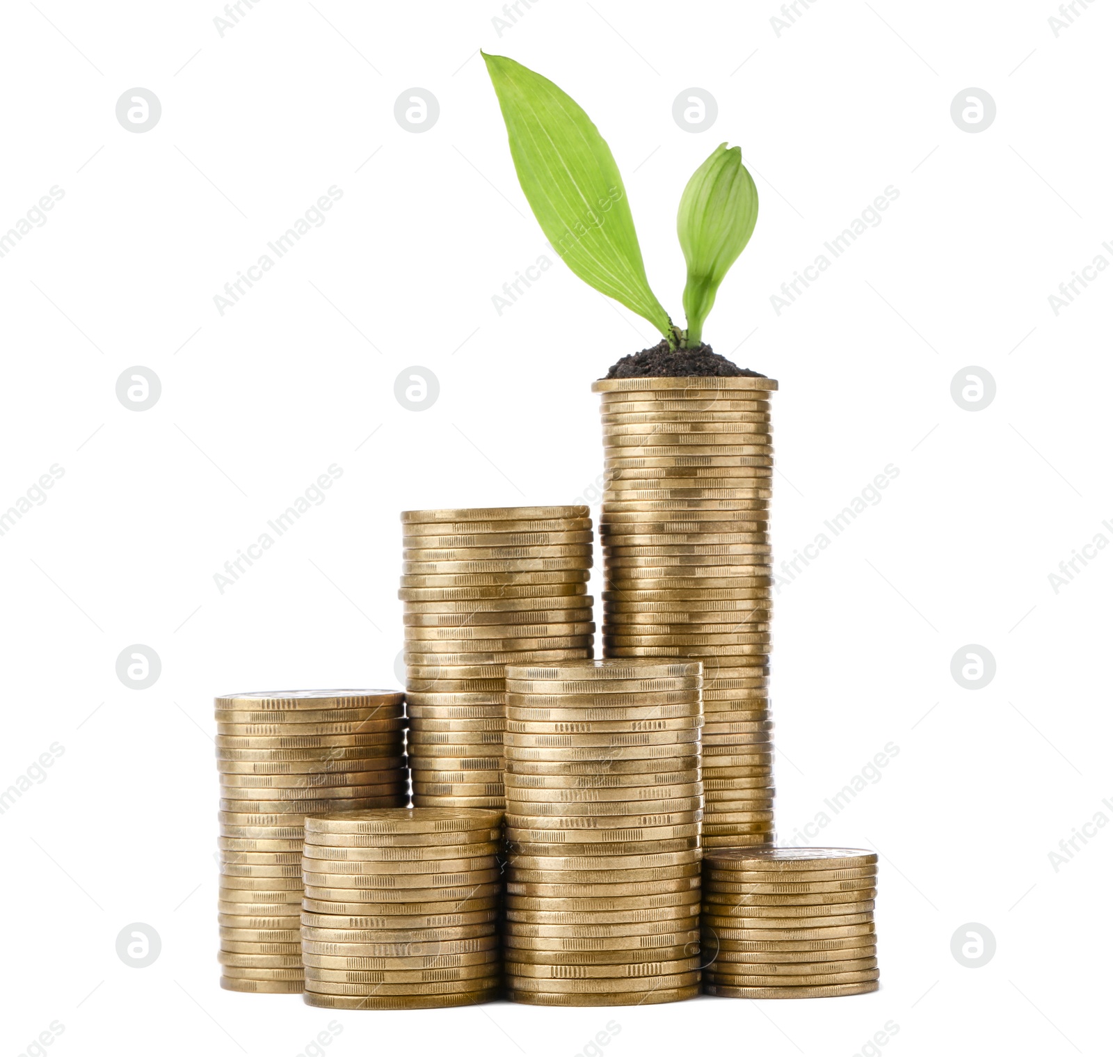 Photo of Stacks of coins and green plant on white background. Prosperous business