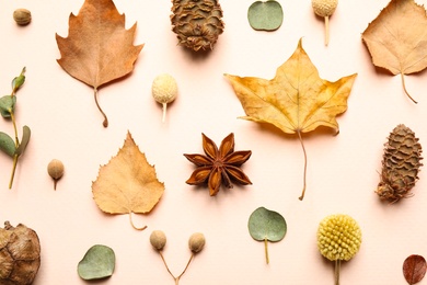 Flat lay composition with autumn leaves on light background