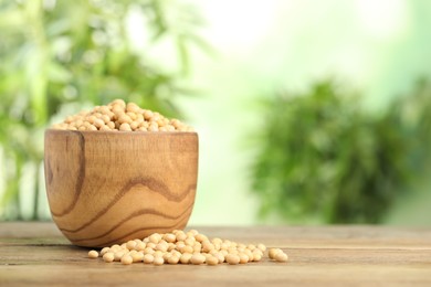 Photo of Natural soy beans on wooden table. Space for text