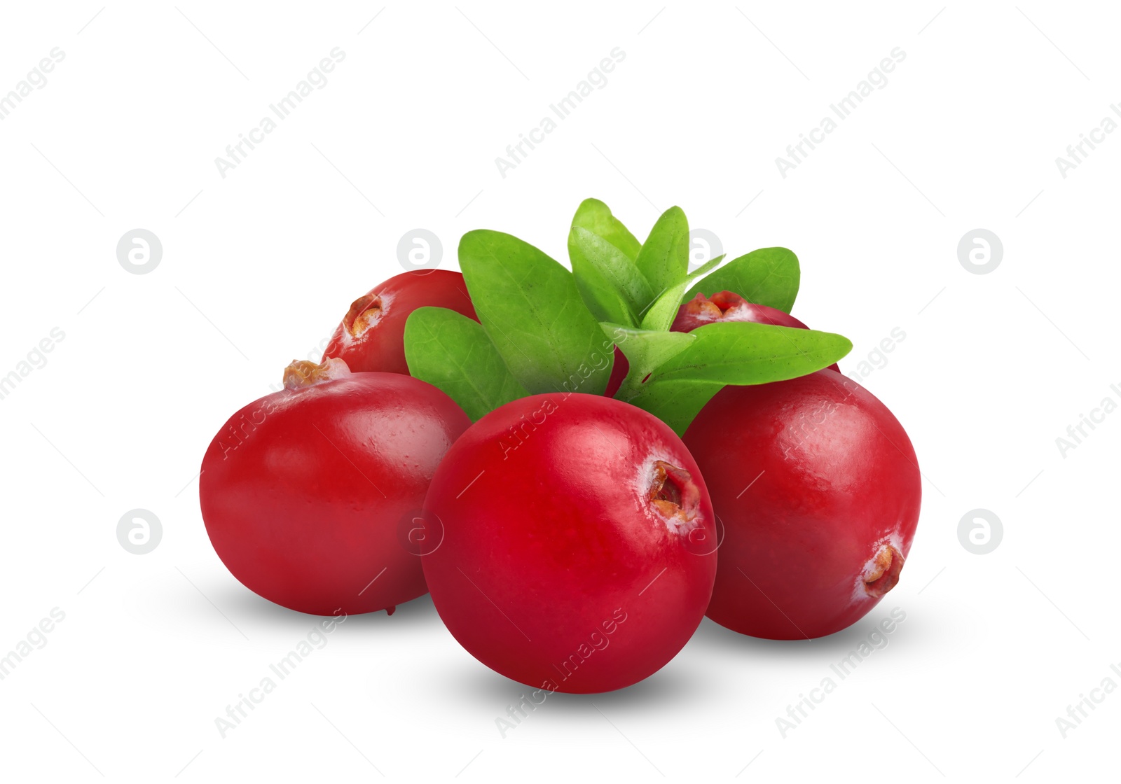 Image of Fresh ripe cranberries with leaves isolated on white