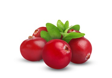 Image of Fresh ripe cranberries with leaves isolated on white