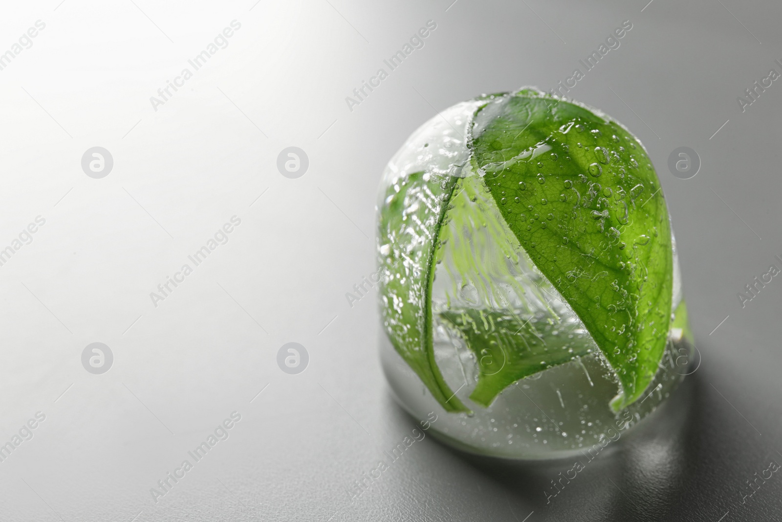 Photo of Ice cube with leaves on grey background. Space for text