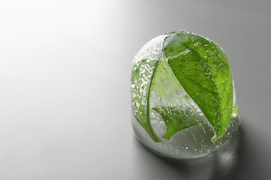 Ice cube with leaves on grey background. Space for text