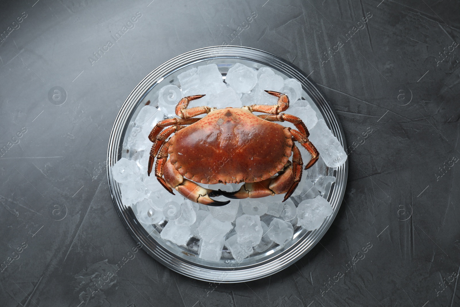 Photo of Delicious boiled crab with ice cubes on grey table, top view