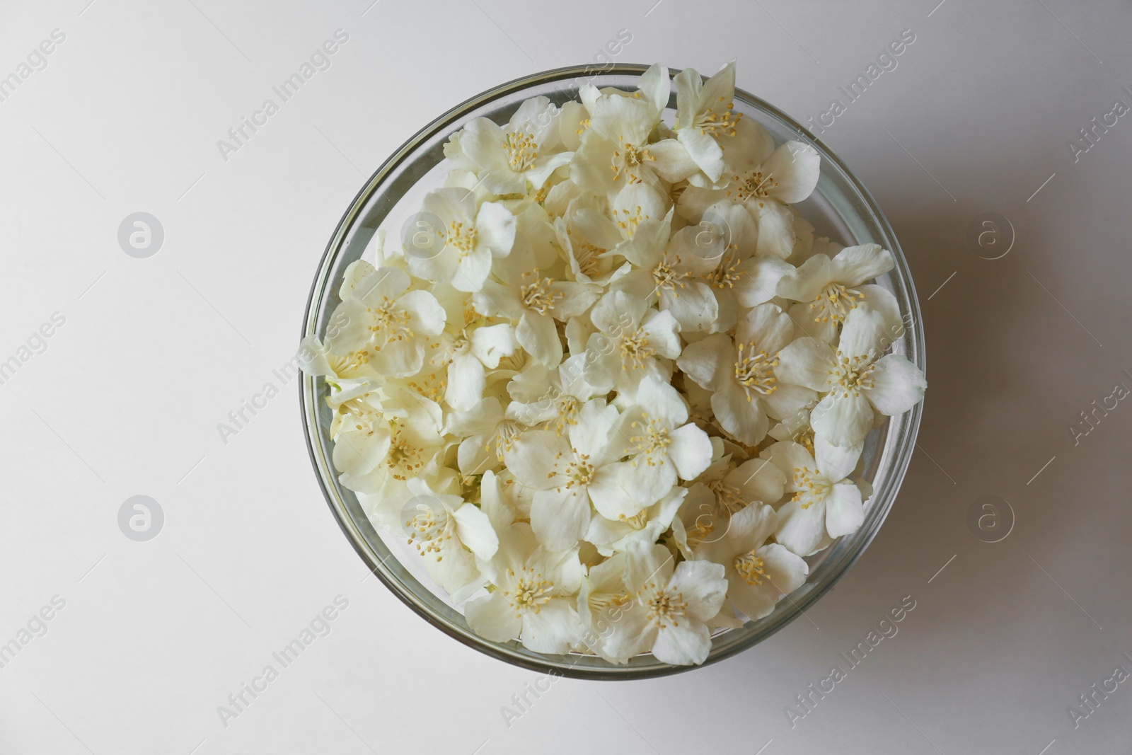 Photo of Beautiful jasmine flowers in glass bowl on white background, top view