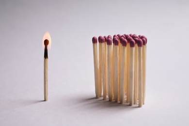 Group of wooden matches and burning one on light grey background