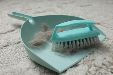 Photo of Brush and scoop with hair pet on carpet, closeup