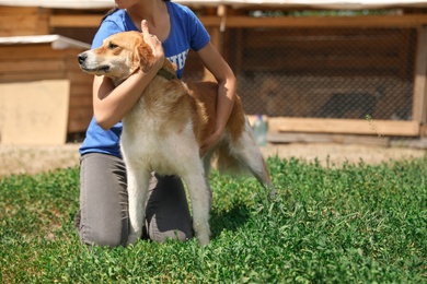 Woman with homeless dog in animal shelter, space for text. Concept of volunteering