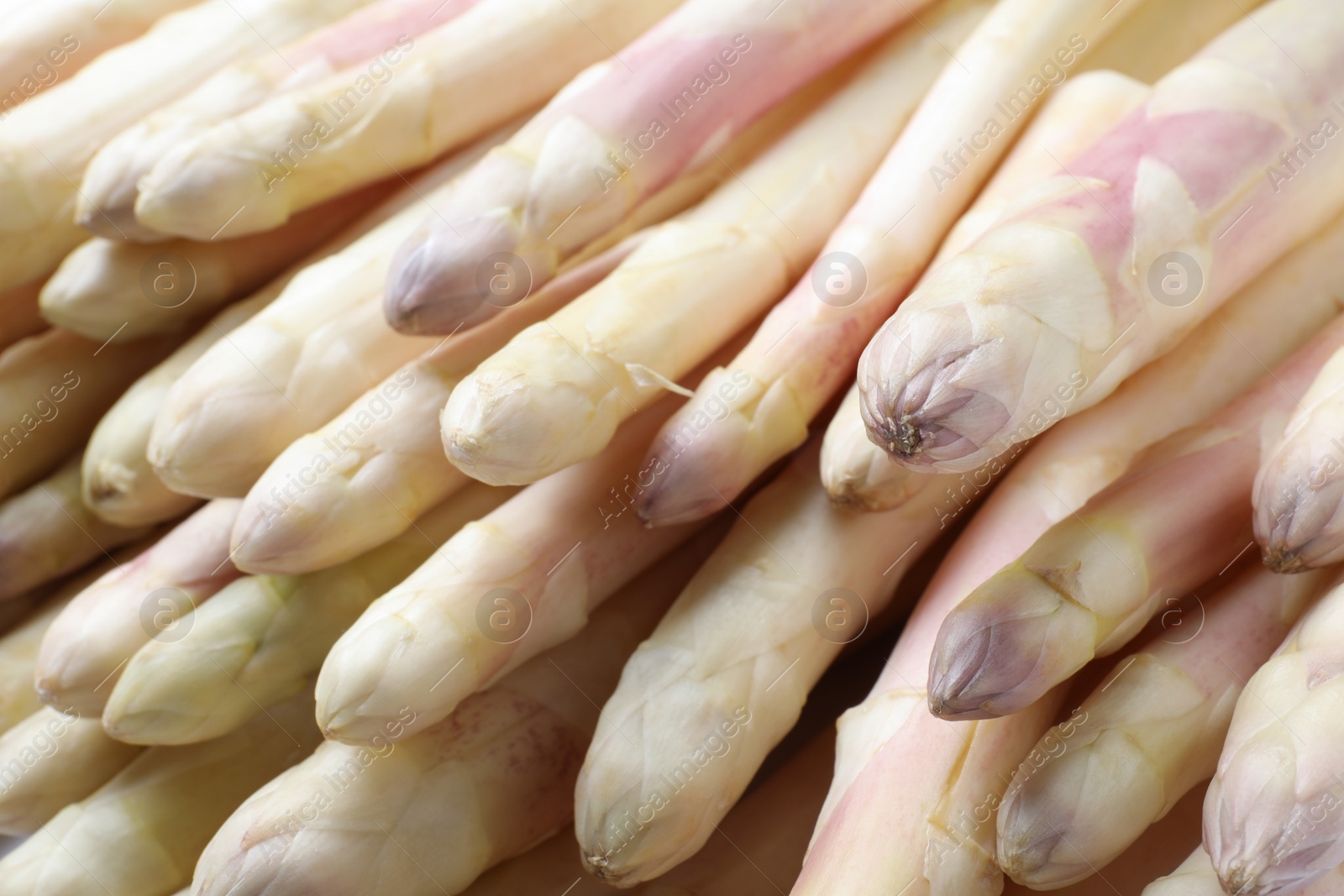 Photo of Fresh ripe white asparagus as background, closeup