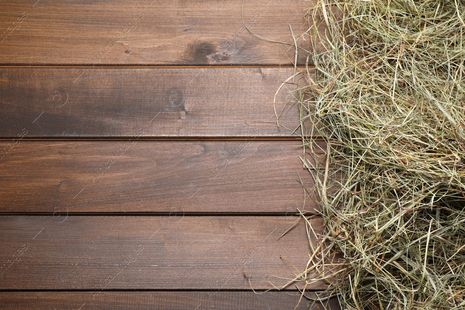 Photo of Dried hay on wooden table, top view. Space for text