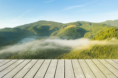 Image of Empty wooden surface and beautiful view of forest in misty mountains