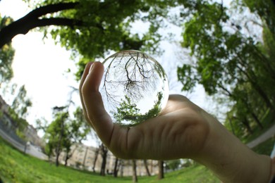 Photo of Beautiful green trees outdoors, overturned reflection. Man holding crystal ball in park, closeup. Wide-angle lens