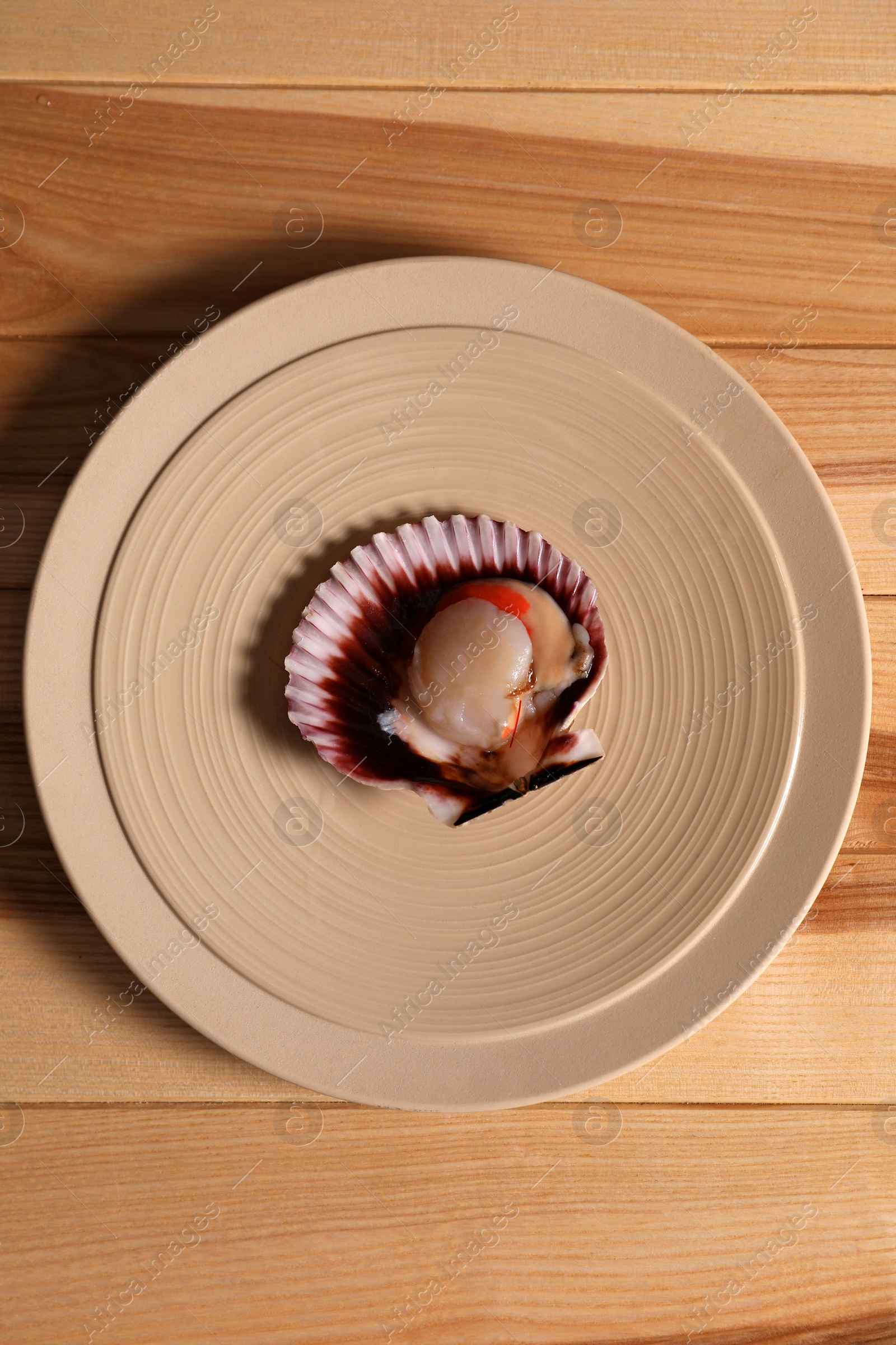 Photo of Shell with fresh scallop on wooden table, top view